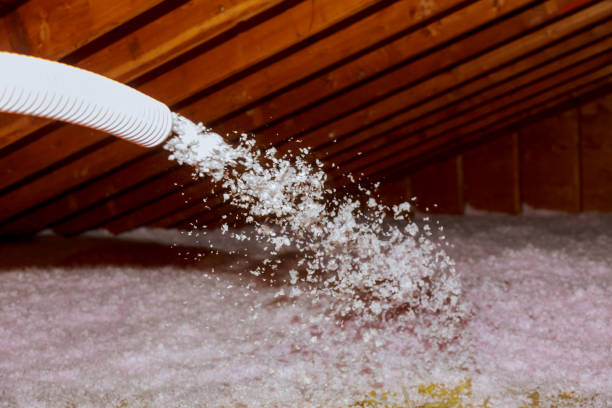 Best Eco-Friendly Insulation in Water Valley, MS
