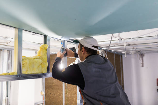 Best Cellulose Insulation in Water Valley, MS