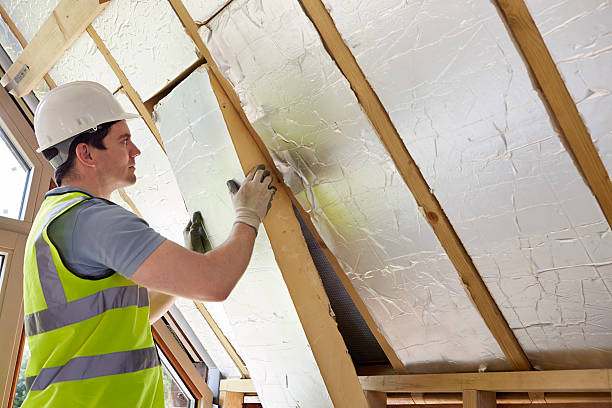 Best Specialized Insulation Services in Water Valley, MS