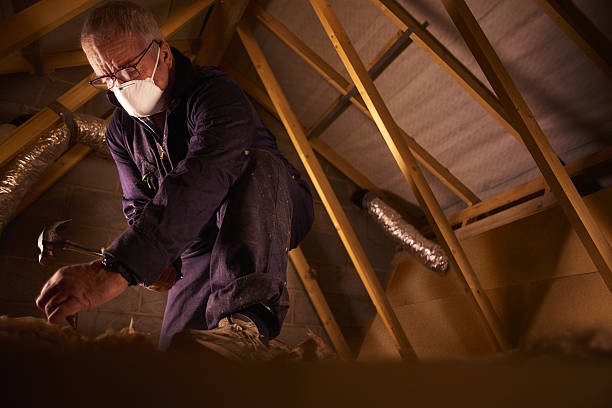 Best Spray Foam Insulation in Water Valley, MS