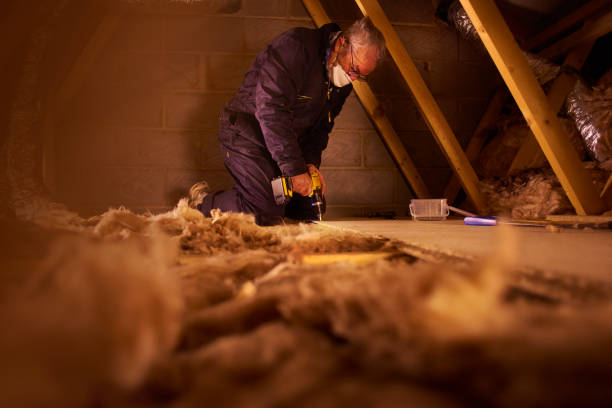 Best DIY Insulation Kits and Guidance in Water Valley, MS